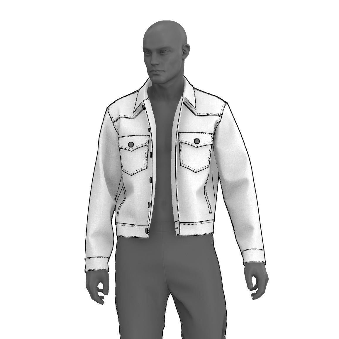 Western Trucker Jacket