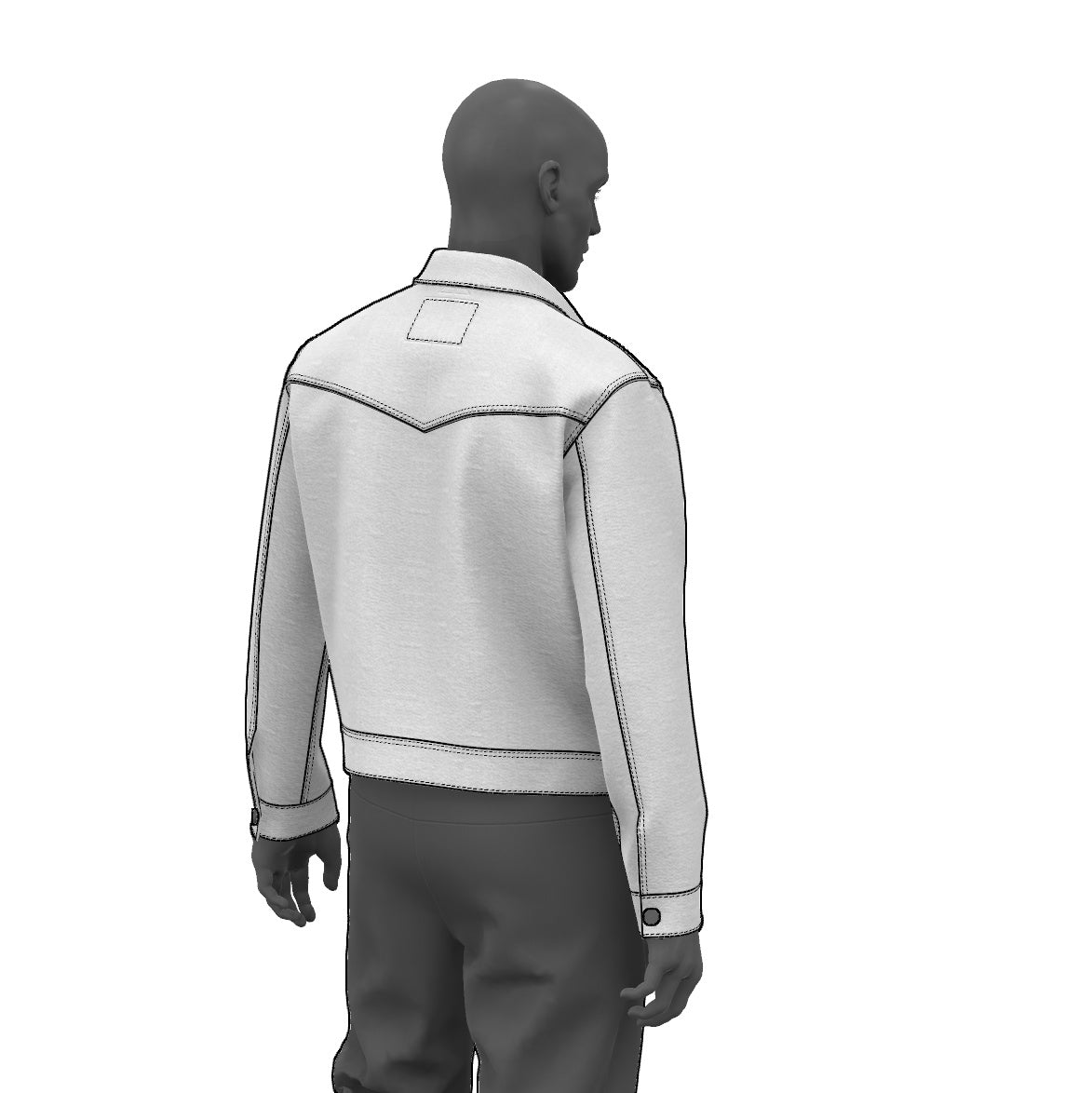 Western Trucker Jacket