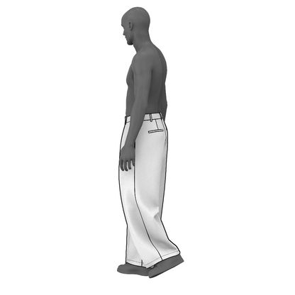 Wide Pleated Dress Pants