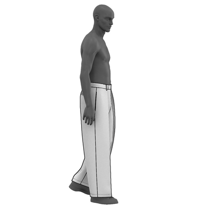 Wide Pleated Dress Pants